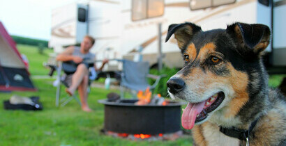 Dog, fire pit and recreational vehicle
